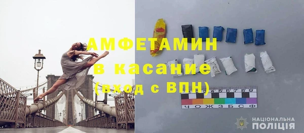 сатива Новодвинск