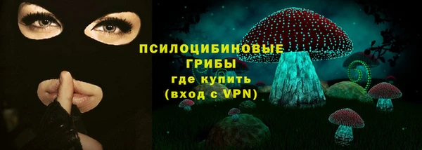гидра Абаза