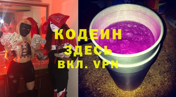 сатива Новодвинск