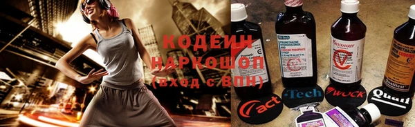 гидра Абаза